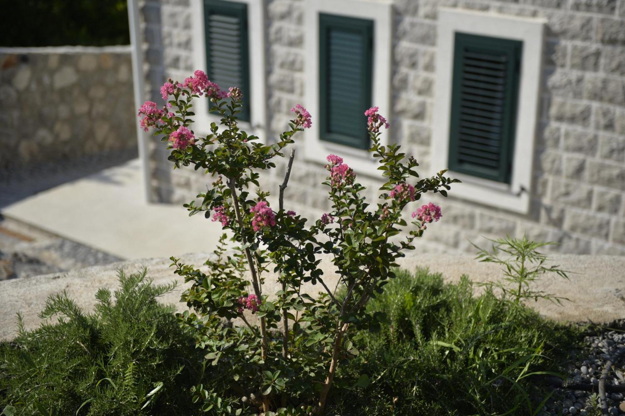 Villa Vista Azzurra 티바트 외부 사진